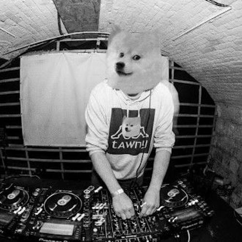Tawny on the decks